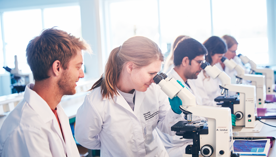 Deepen your knowledge of biological wastewater treatment