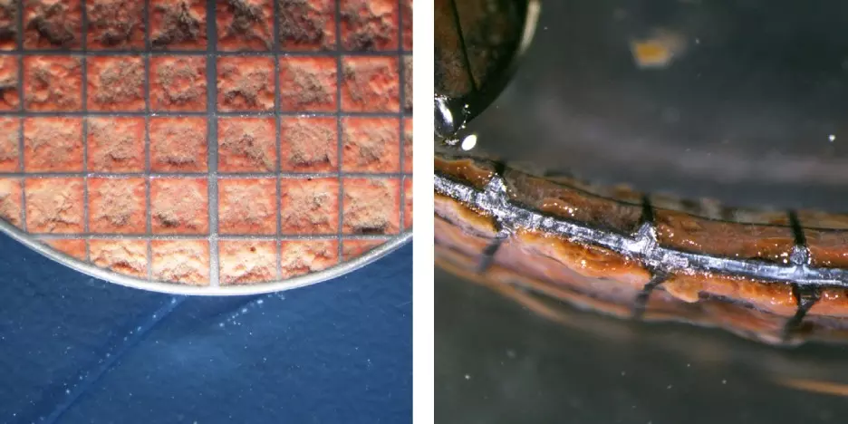 Z-carriers demonstrating a controlled biofilm thickness of anammox bacteria - top view (left) and cross section (right). © AnoxKaldnes, 2020